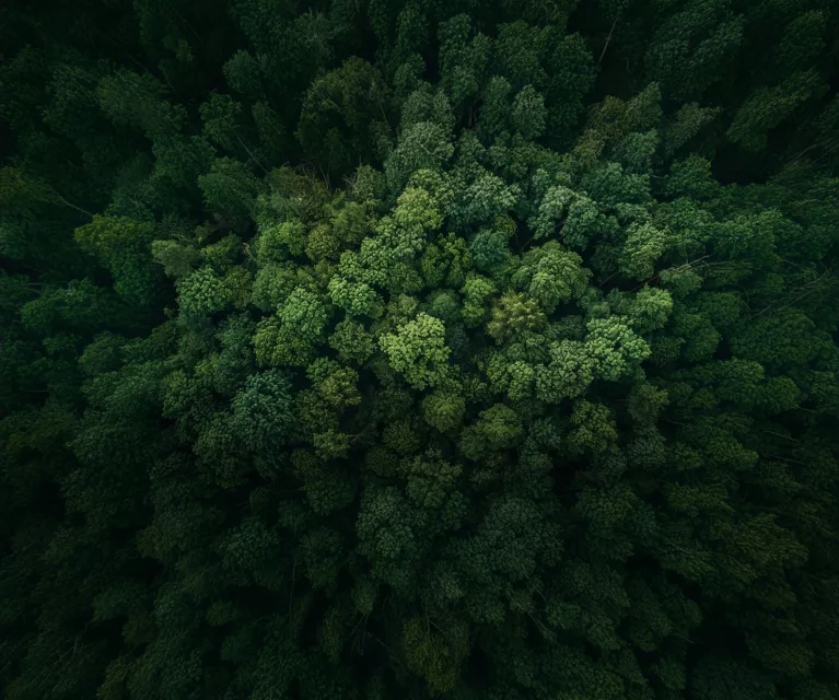 tonna-sustentabilidad-cover